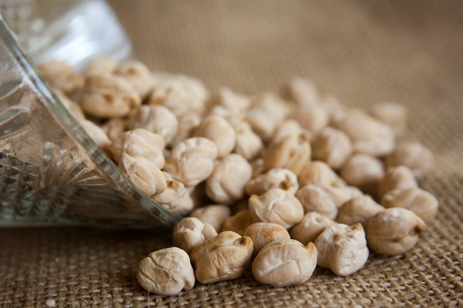 High-quality chickpeas from Shri Manidhari Enterprises